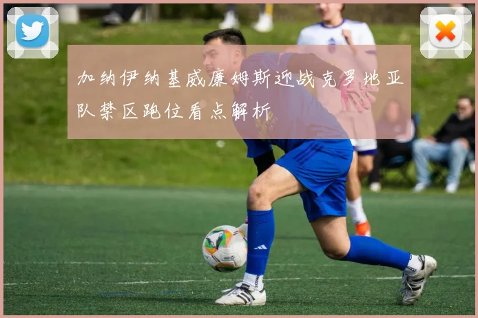 加纳伊纳基威廉姆斯迎战克罗地亚队禁区跑位看点解析