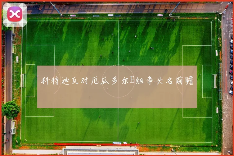 科特迪瓦对厄瓜多尔E组争头名前瞻