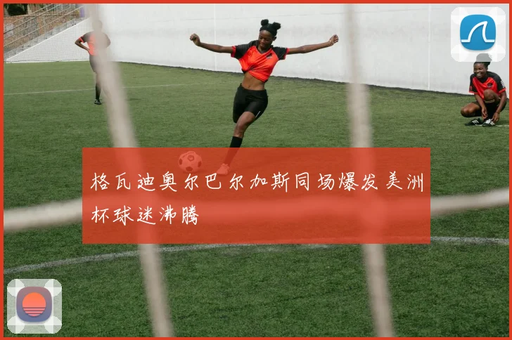 格瓦迪奥尔巴尔加斯同场爆发美洲杯球迷沸腾