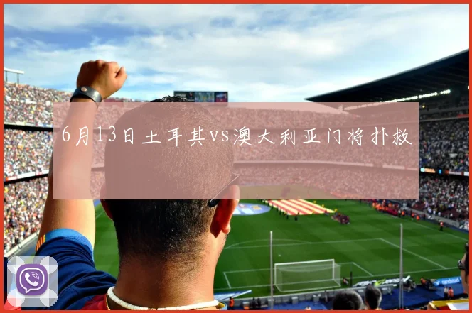 6月13日土耳其vs澳大利亚门将扑救