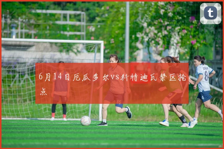 6月14日厄瓜多尔vs科特迪瓦禁区抢点