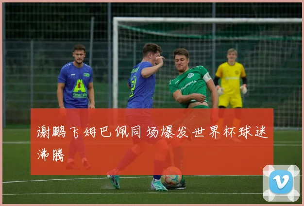 谢鹏飞姆巴佩同场爆发世界杯球迷沸腾