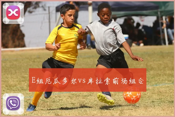 E组厄瓜多尔vs库拉索前场组合