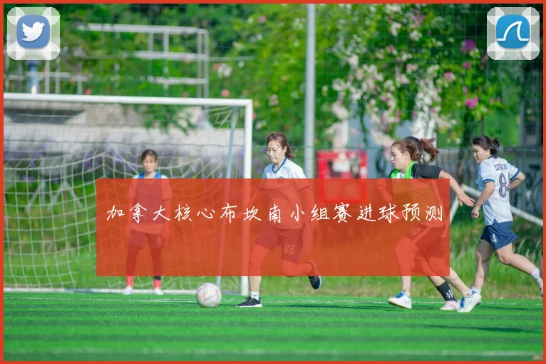 加拿大核心布坎南小组赛进球预测